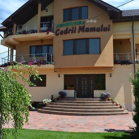 Pensiunea Codrii Mamului Lungesti (Valcea) Bagian luar foto