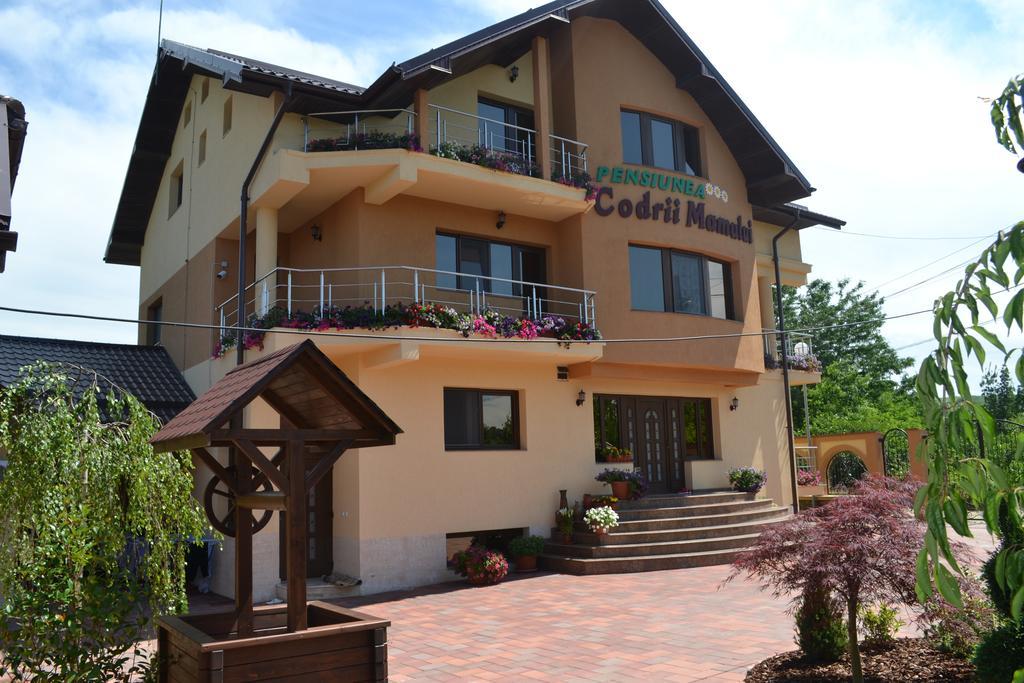 Pensiunea Codrii Mamului Lungesti (Valcea) Bagian luar foto